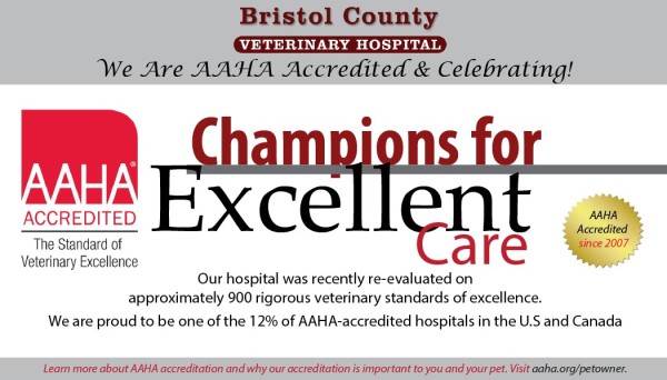 Bristol County Veterinary Hospital AAHA Accreditation