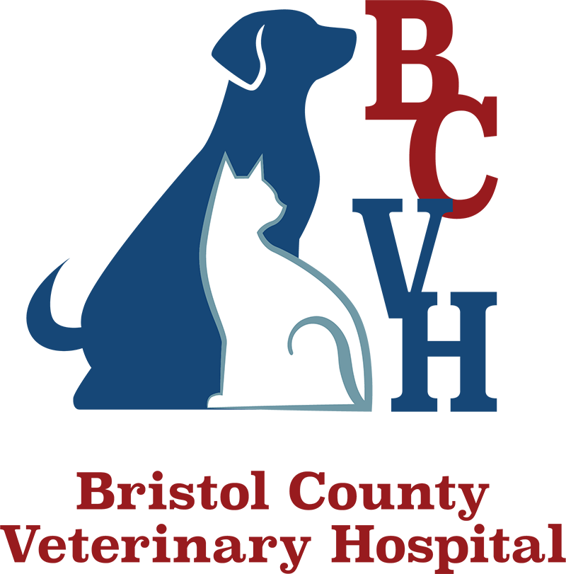 Bristol County Veterinary Hospital logo