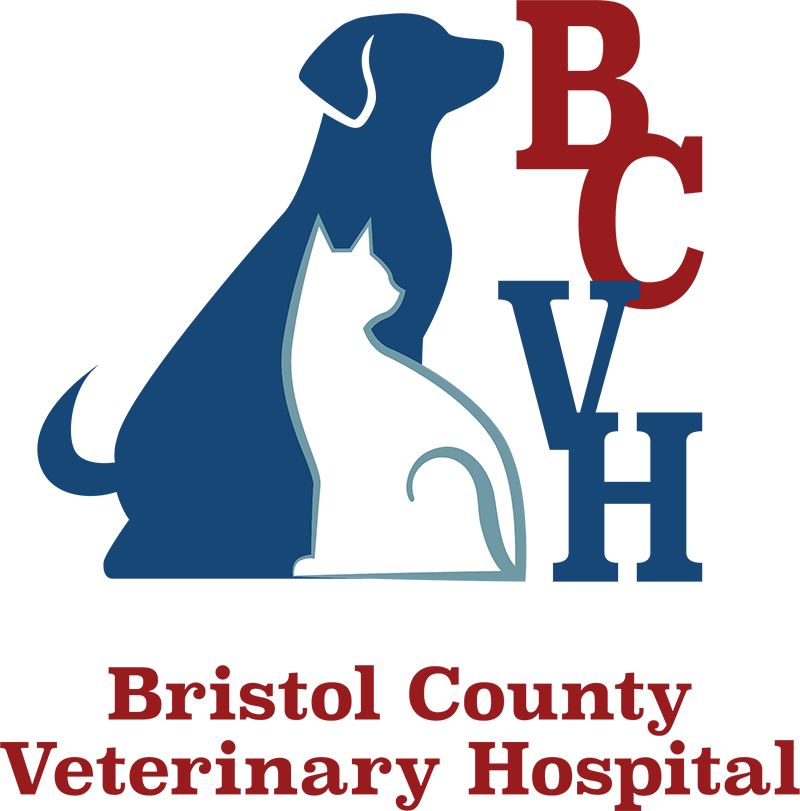 Seekonk, MA Veterinary Jobs | Bristol County Vet Hospital