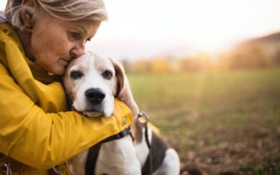 Embracing Compassion: The Profound Impact of Adopting a Senior Pet