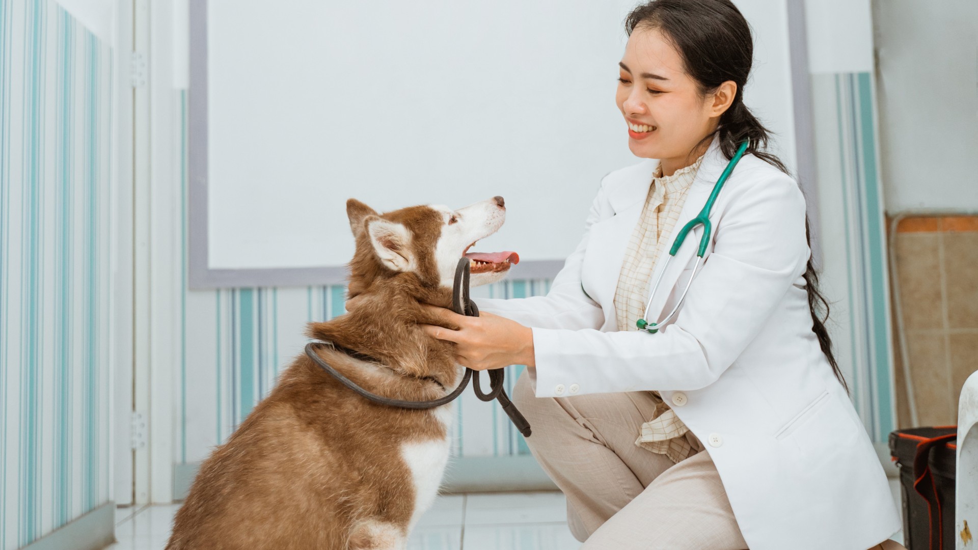 Bristol County Veterinary Hospital